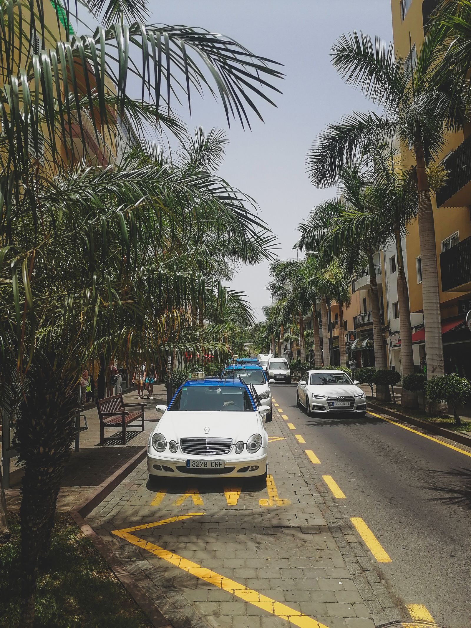 How to choose the right rental car